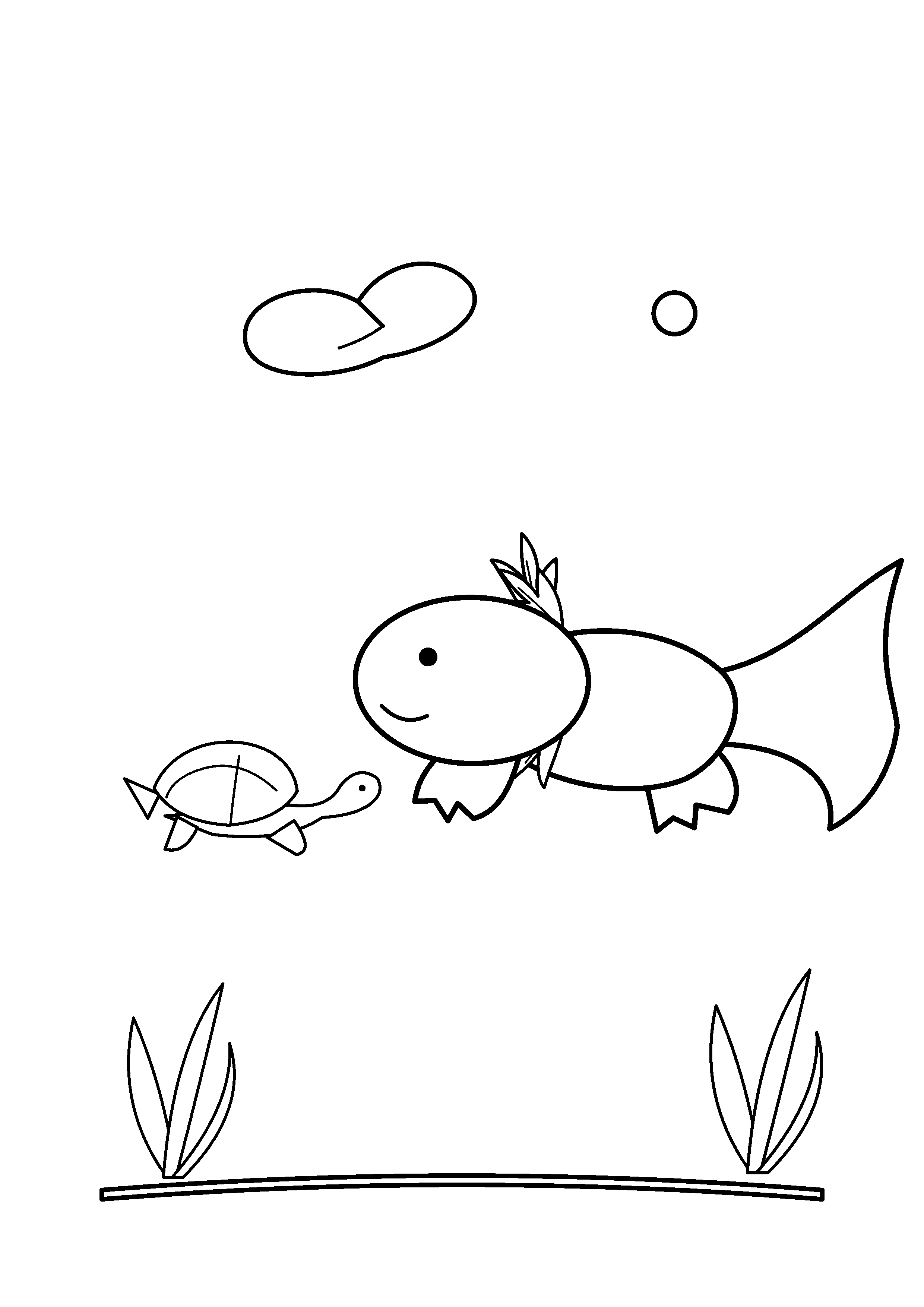 An axolotl swims toward a small pond turtle.