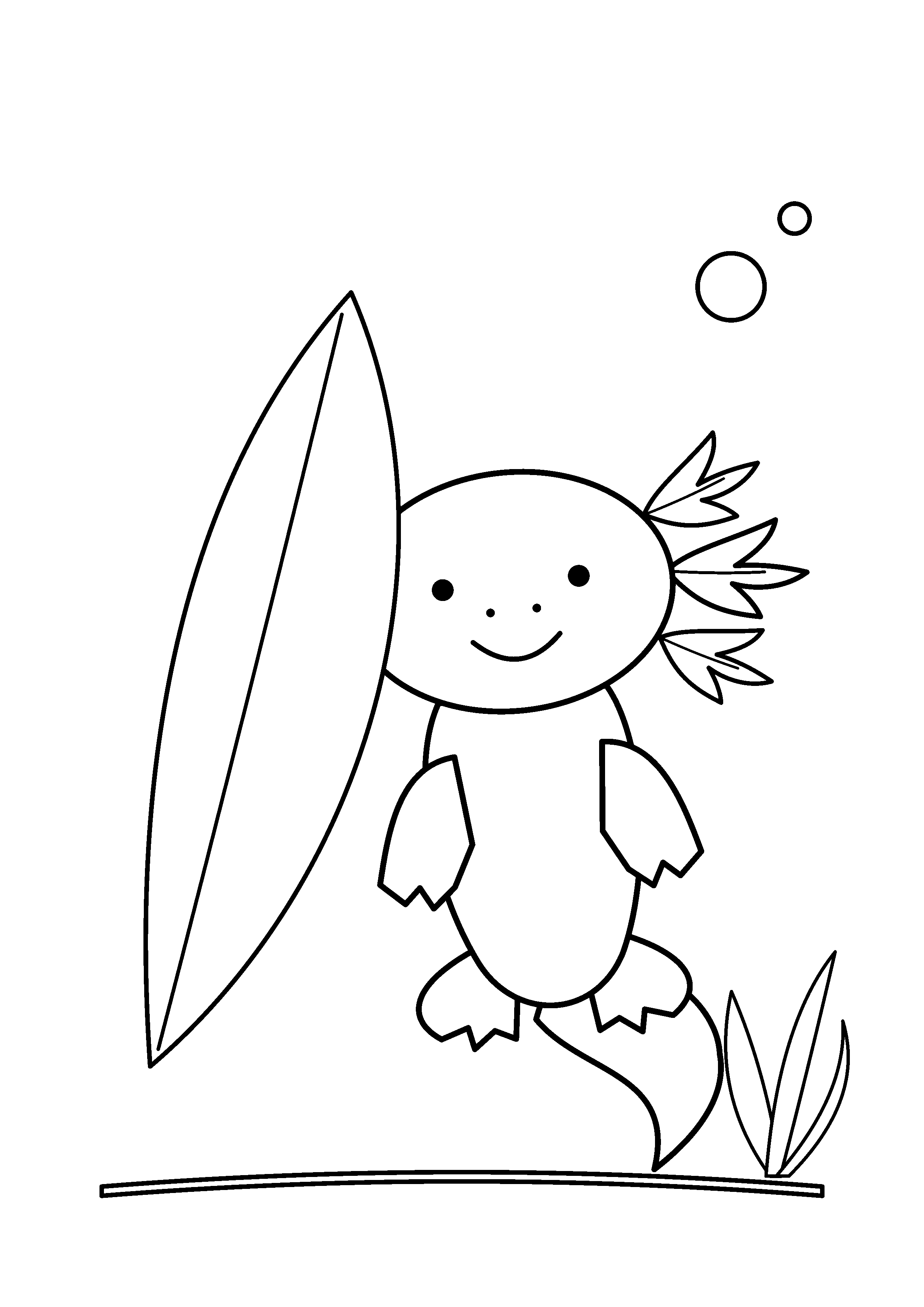 An axolotl looks around a broad underwater leaf.