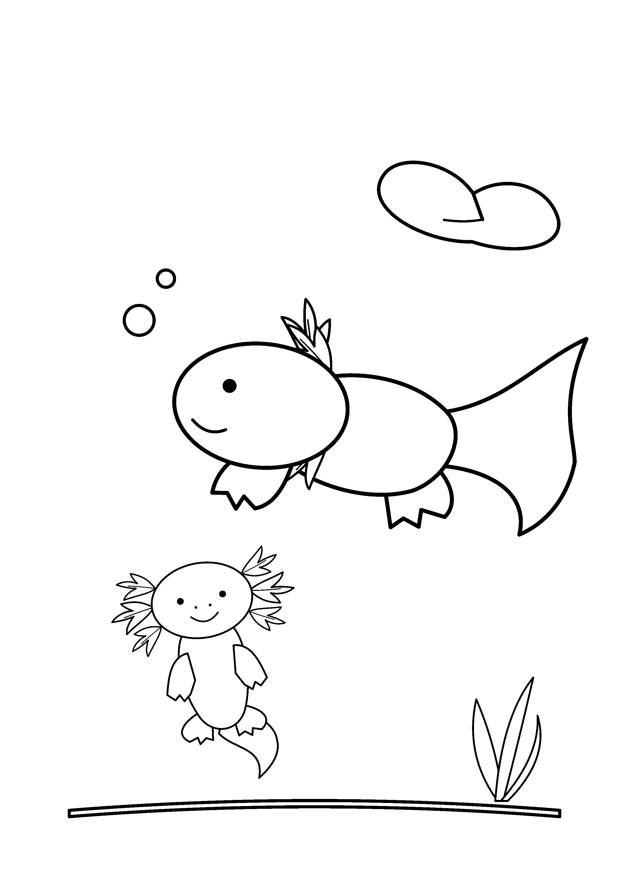 A baby axolotl swims beside a larger axolotl.