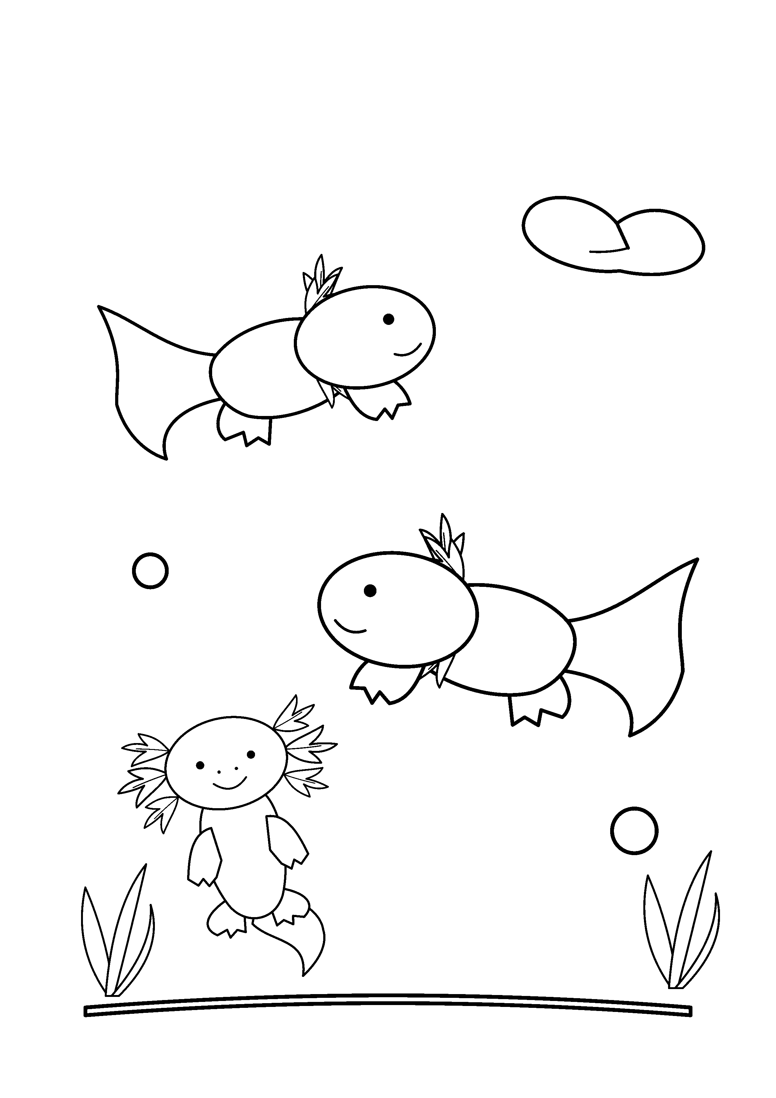Three axolotls swim together at different depths.