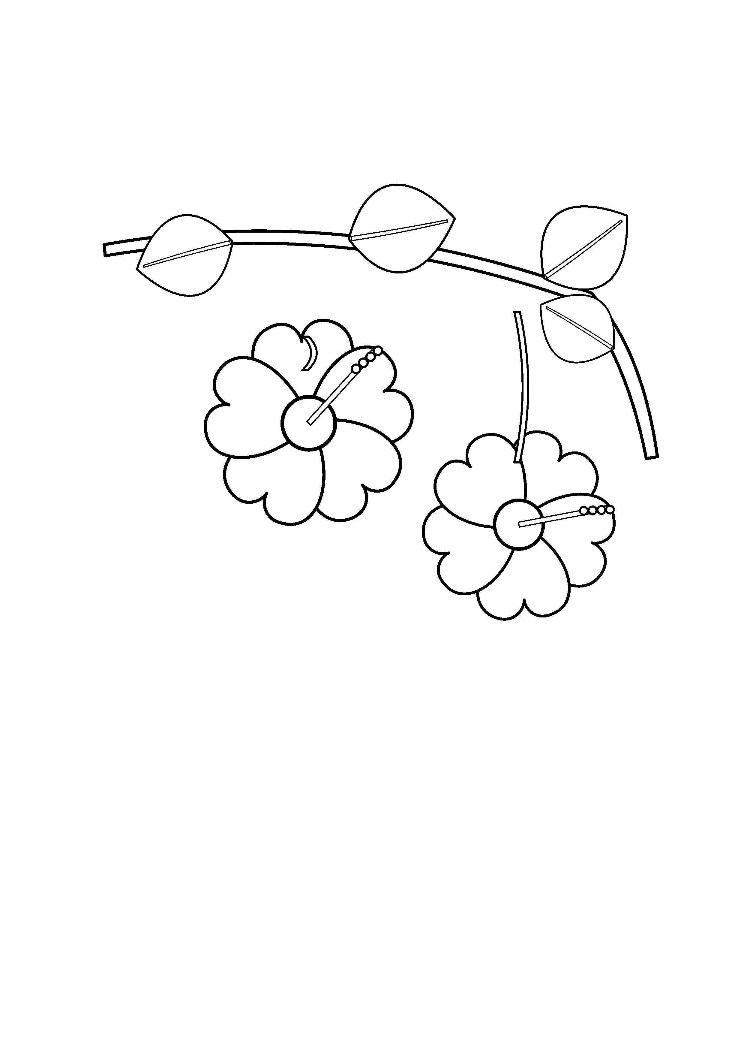 Hibiscus flowers hang from a curved leafy branch.