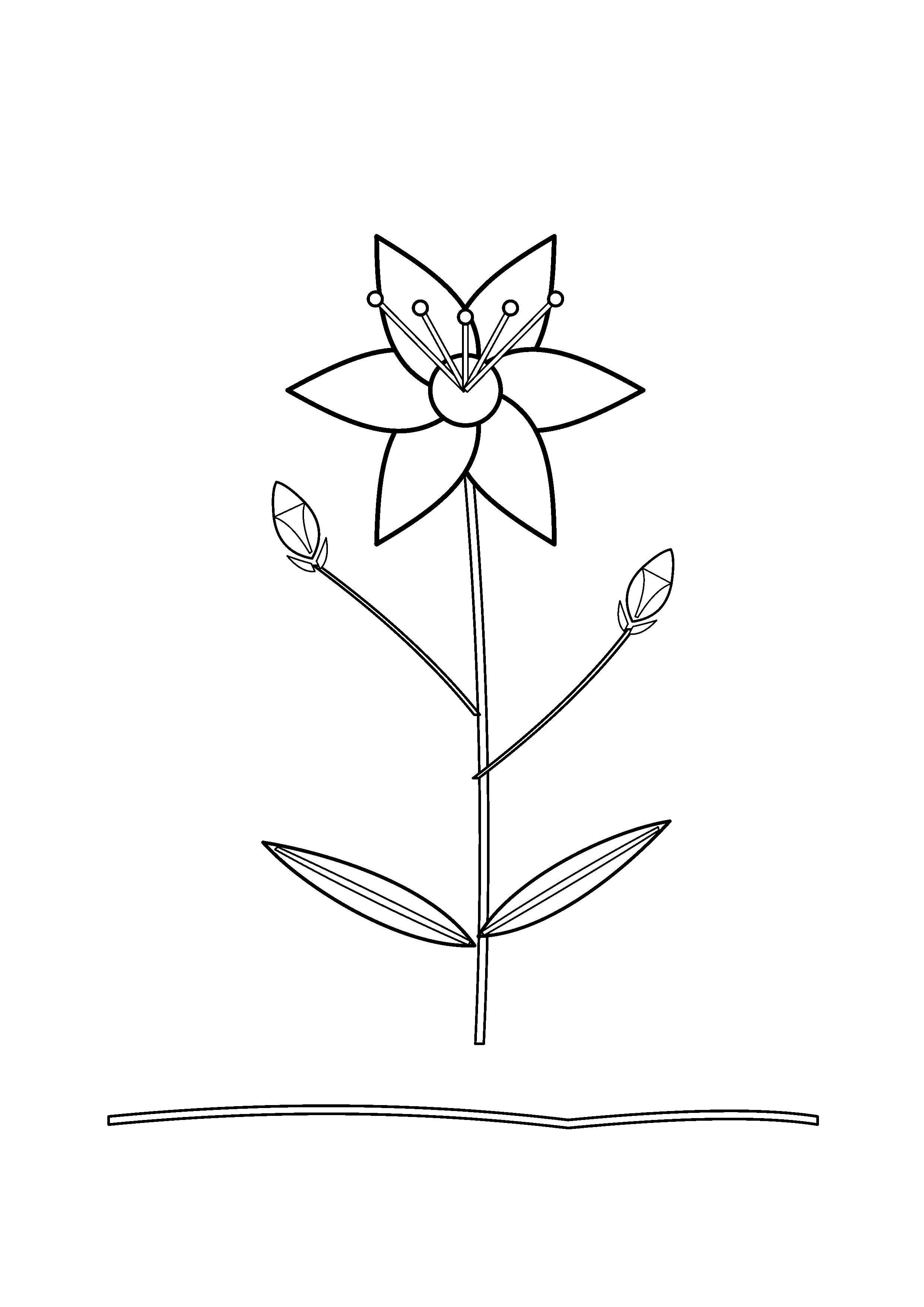 A large lily bloom rises above two unopened buds.