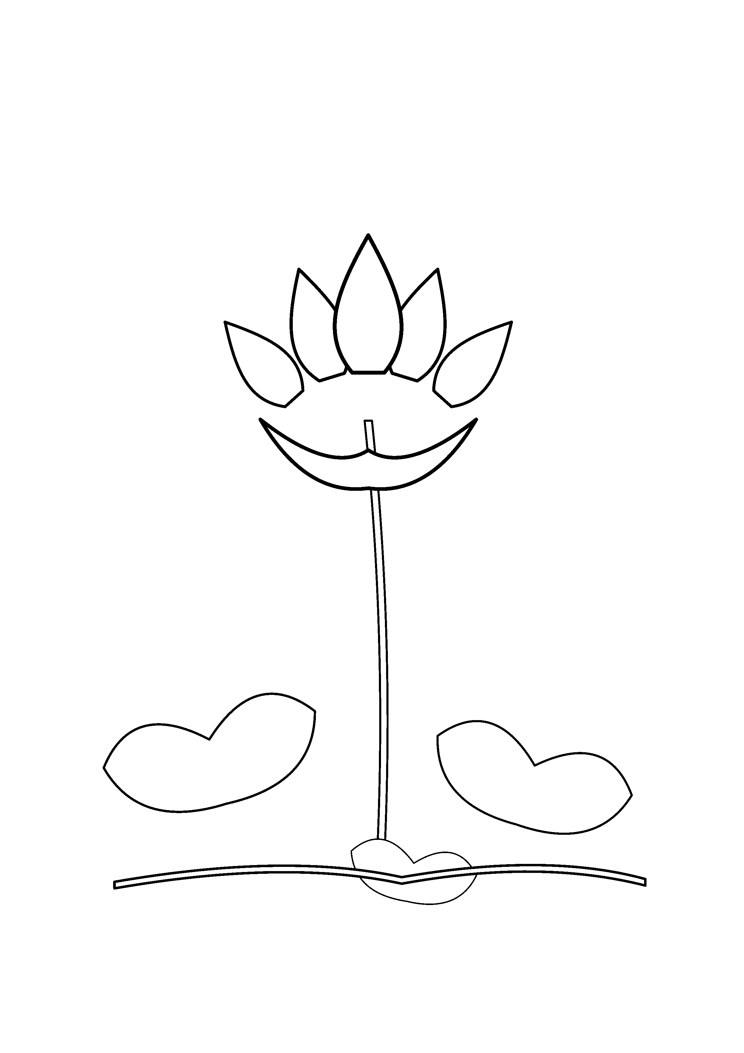 A lotus bloom rises above broad lily pads in a pond.