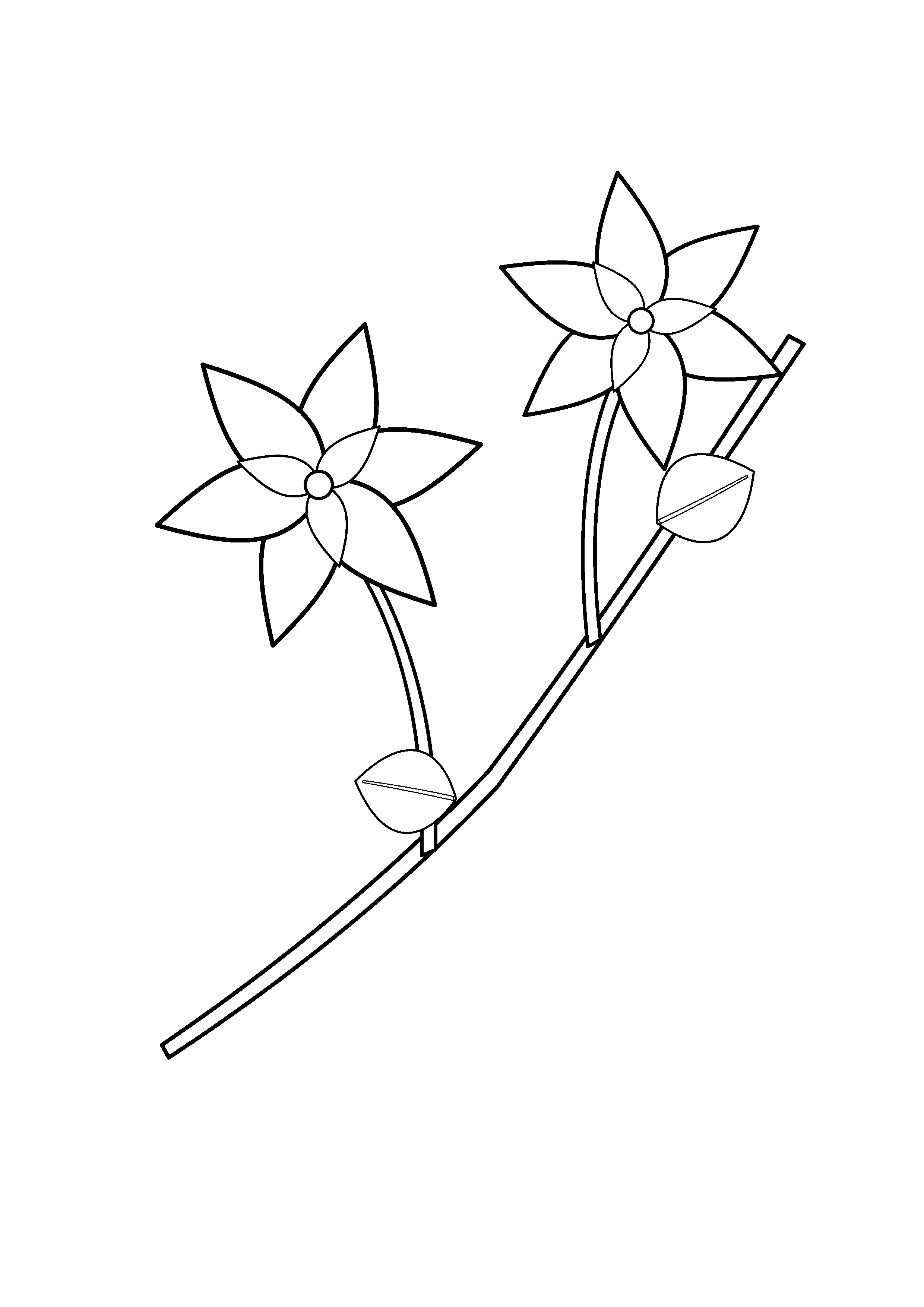 Two large magnolia blossoms grow from a diagonal branch.