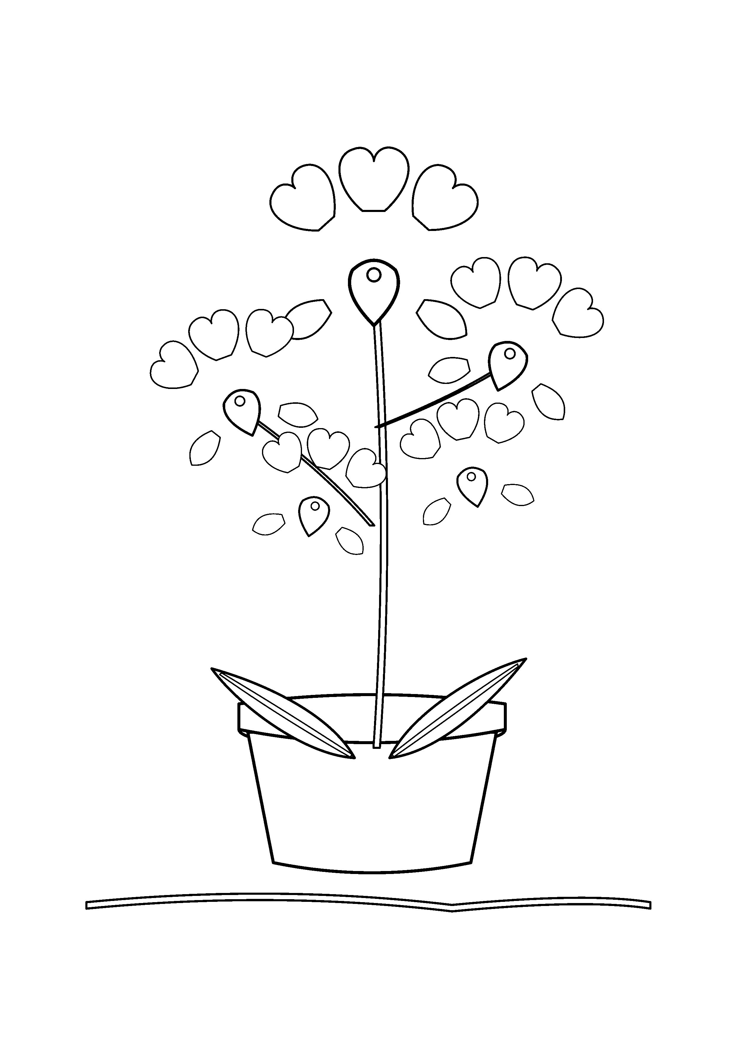 A branching orchid grows from a simple clay pot.
