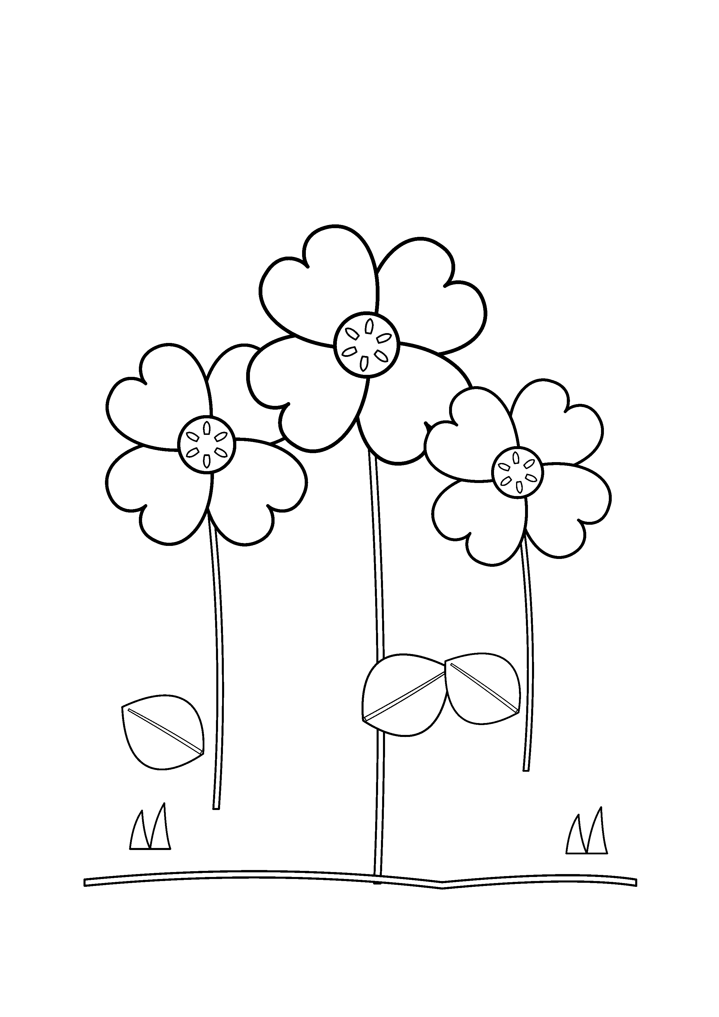 Three poppies rise from an open meadow of sparse grass.