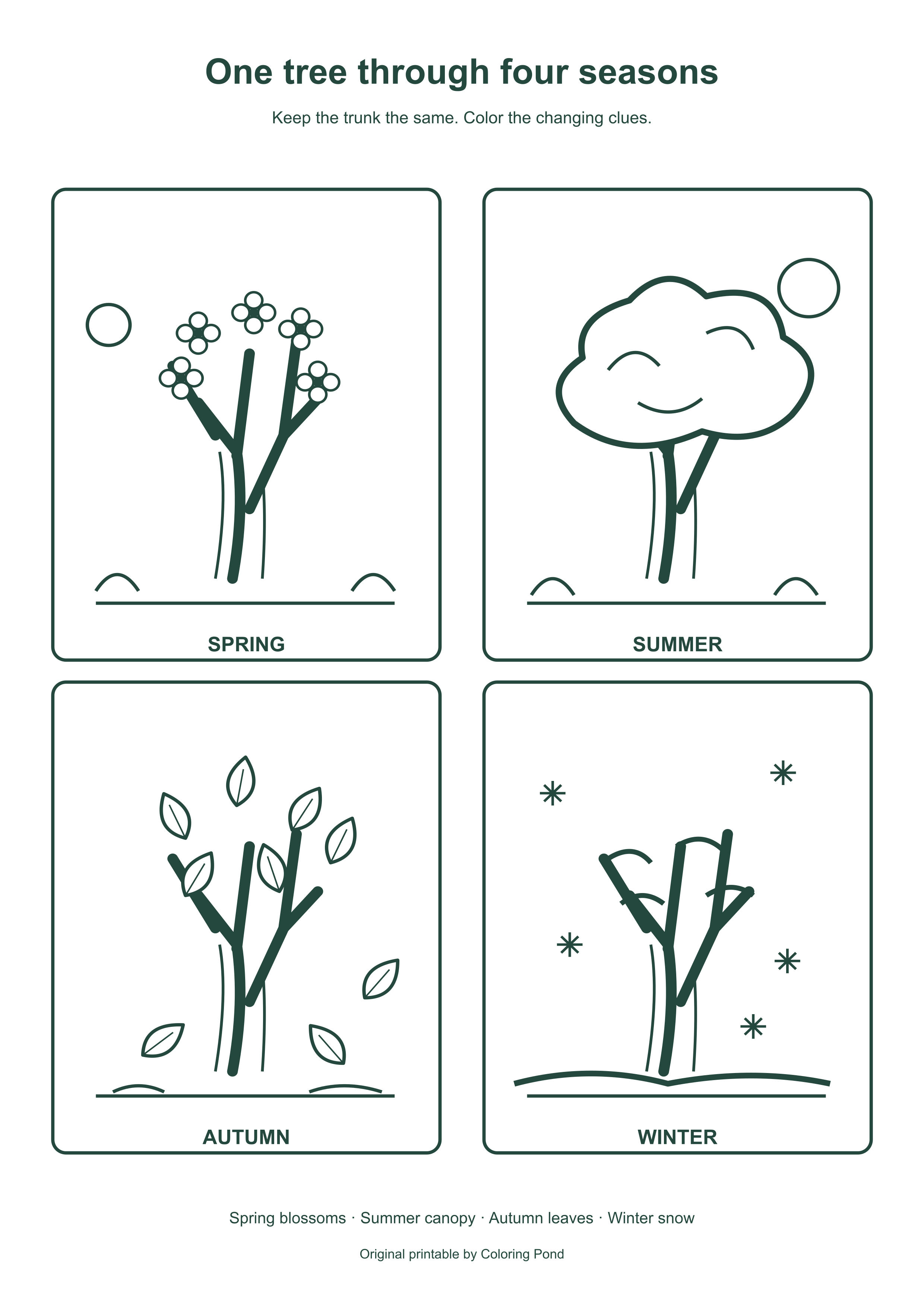 Original four-panel tree coloring sheet showing spring blossoms, summer canopy, autumn leaves and winter snow