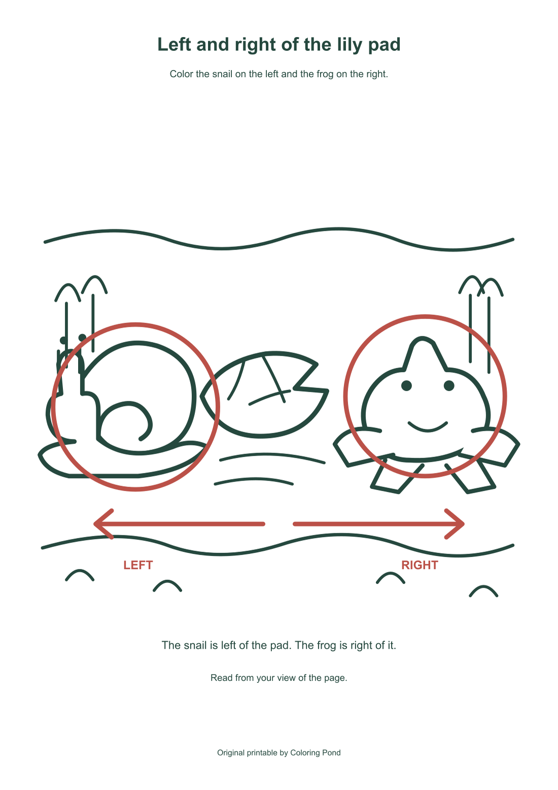 Same-source diagram circles the snail on the left and frog on the right