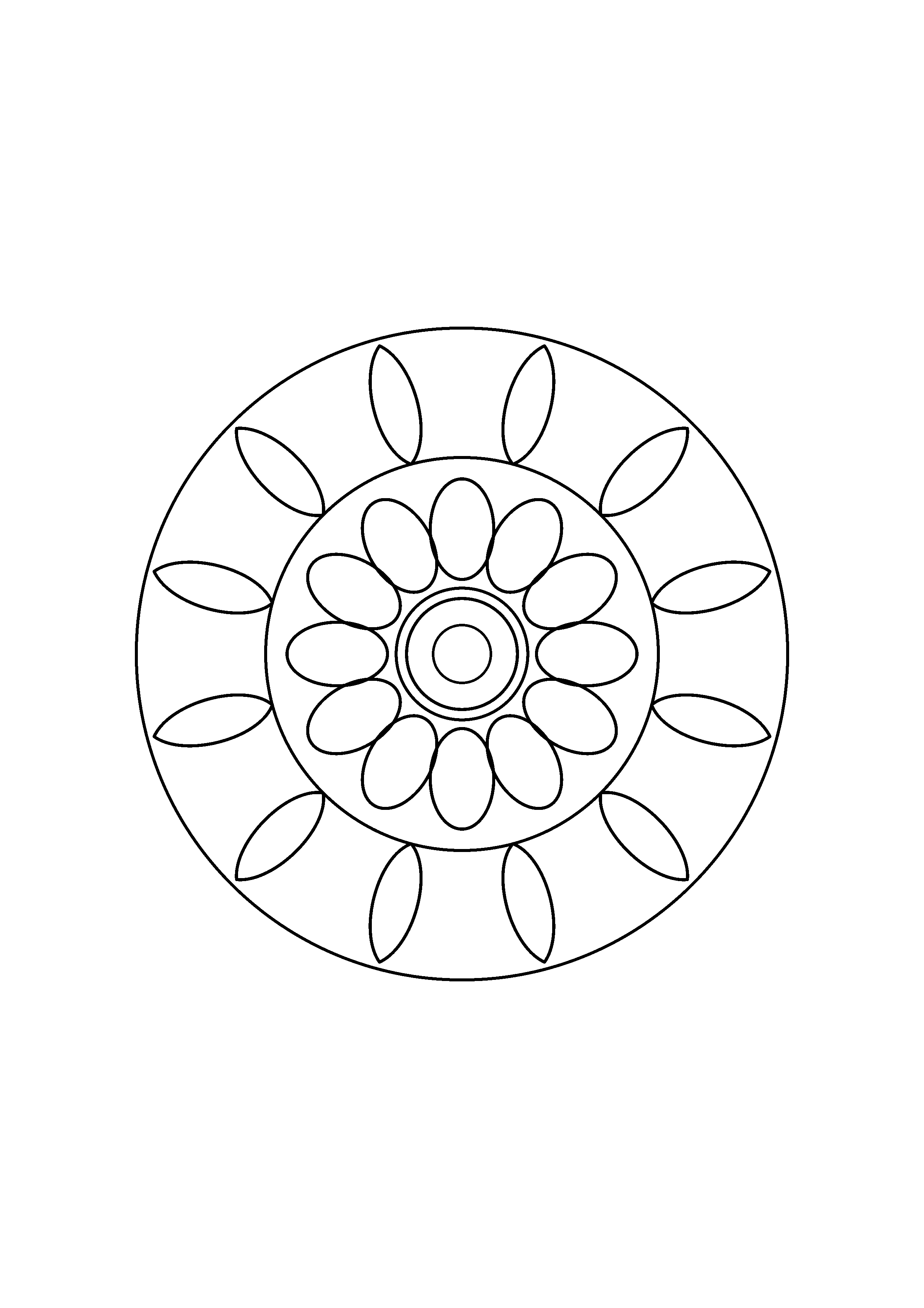 A daisy center has rounded petals and a halo of larger open leaves.
