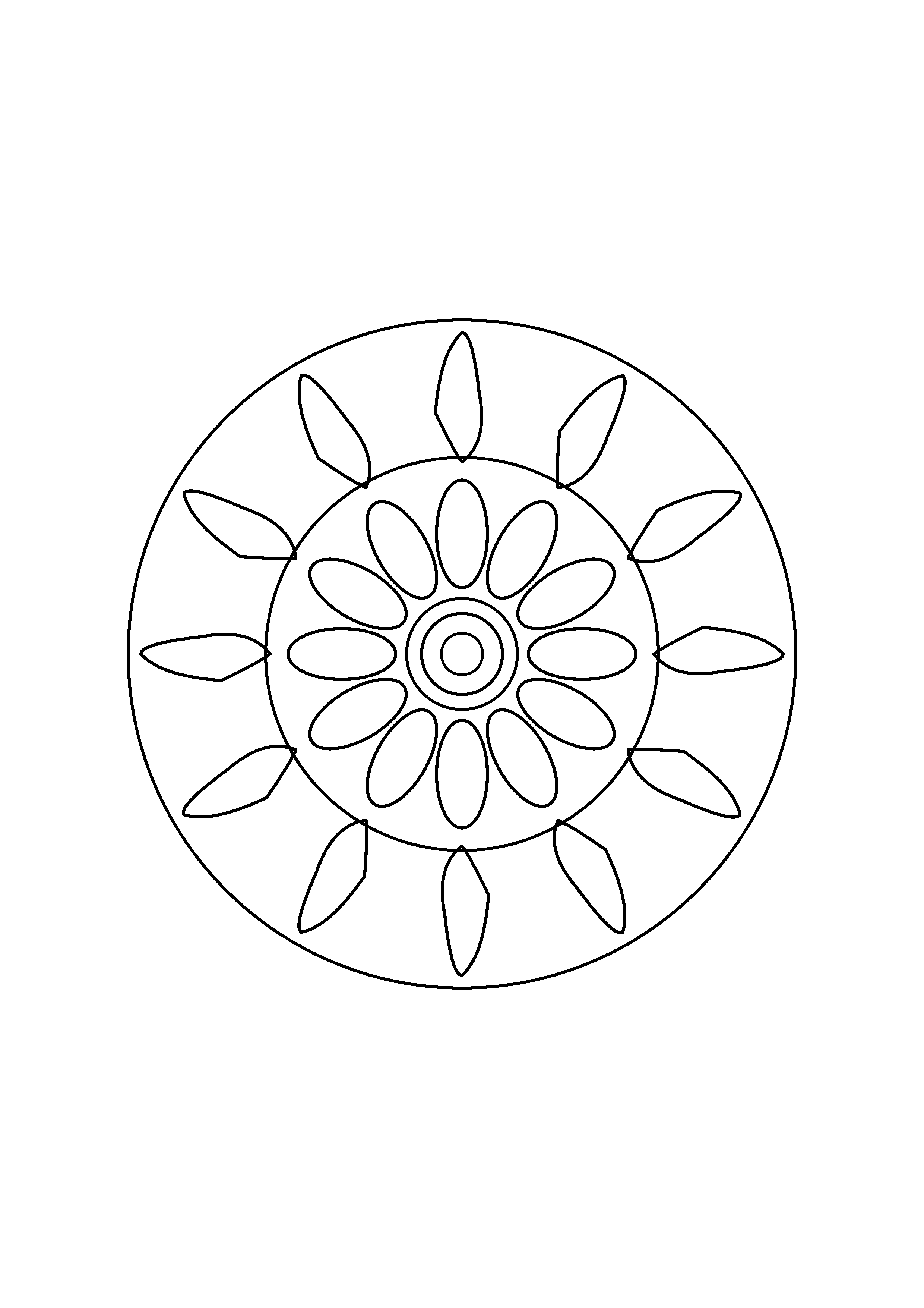 Twelve slender leaves circle a plain center with a wide outer border.