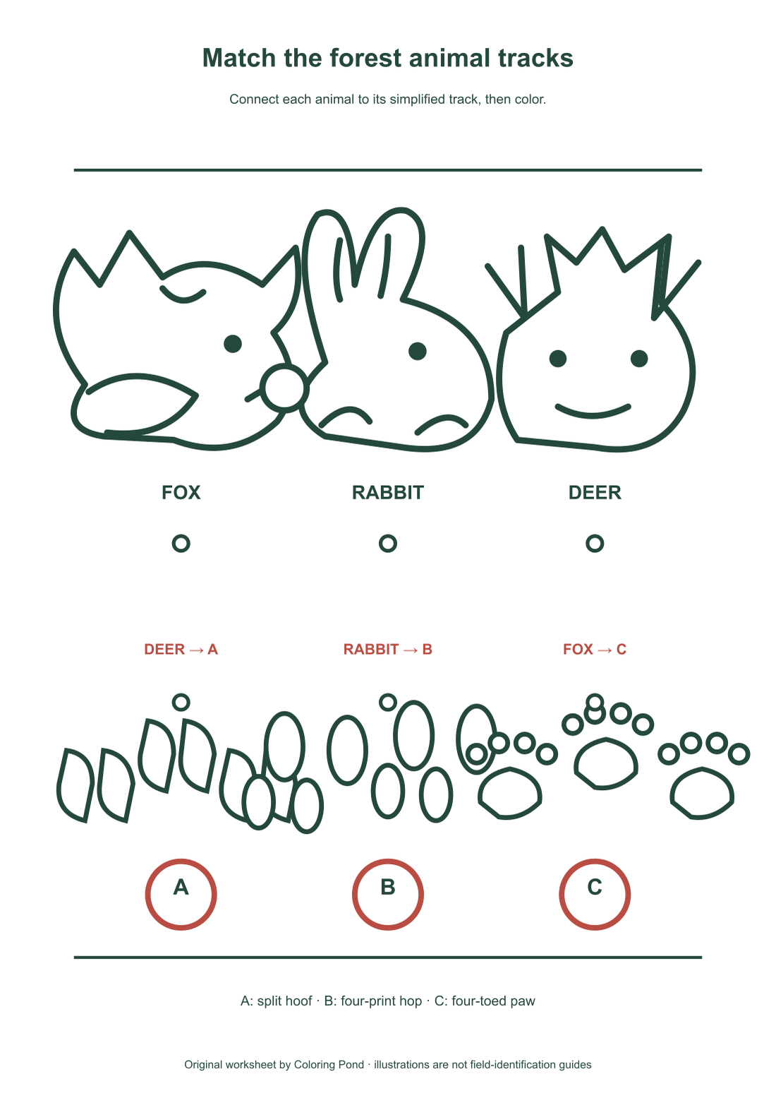 Answer diagram pairing fox with C, rabbit with B and deer with A