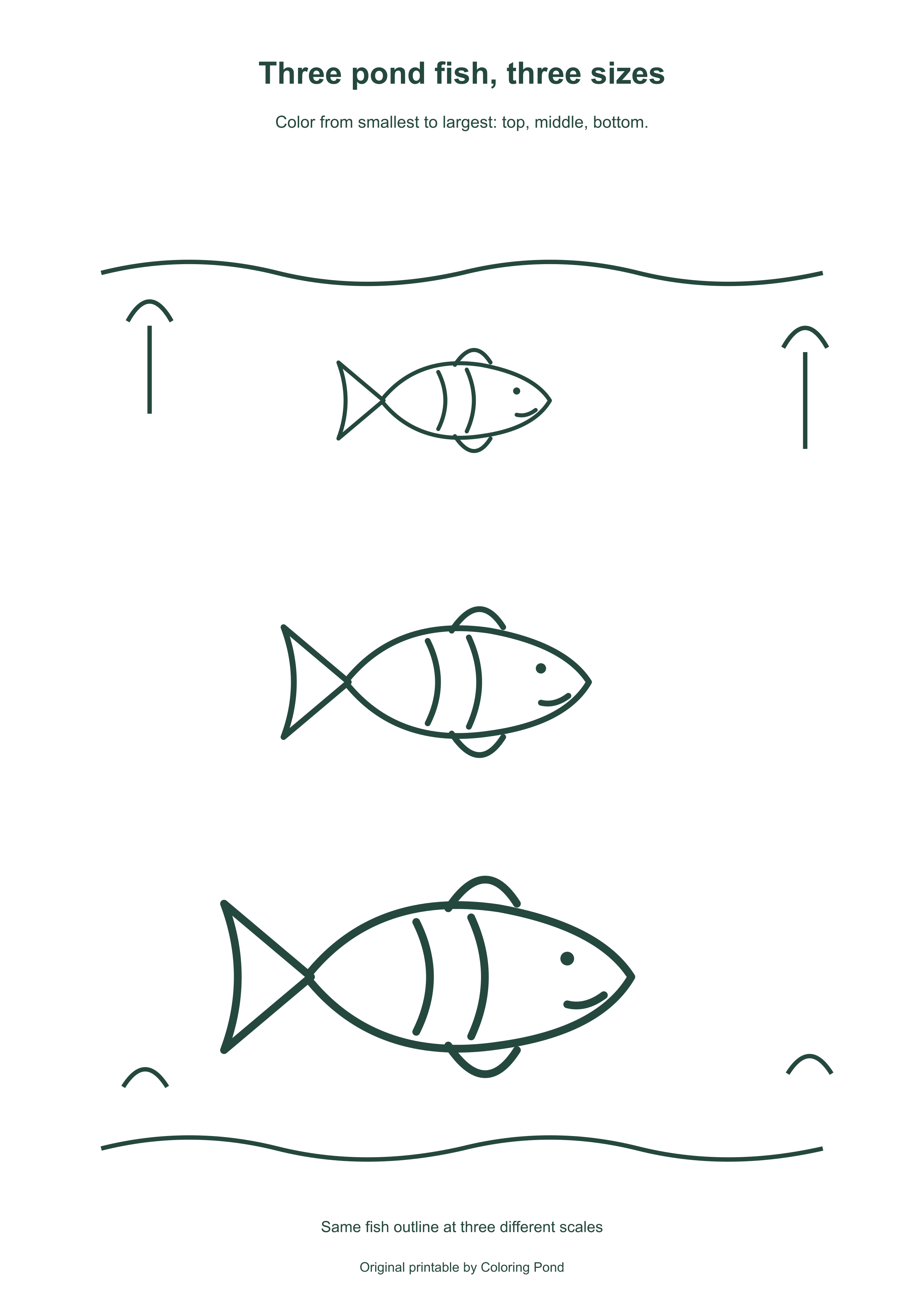 Original printable of the same pond fish outline at small, medium and large sizes, from top to bottom