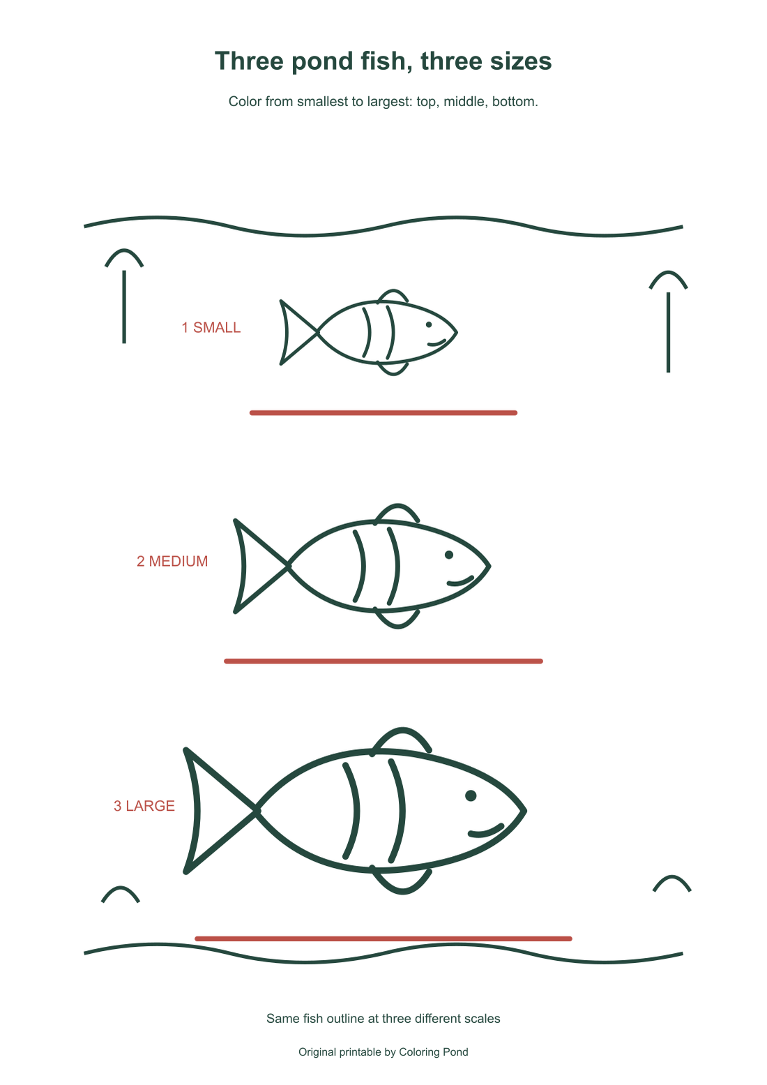 Same-source diagram labels the top small fish, middle medium fish and bottom large fish