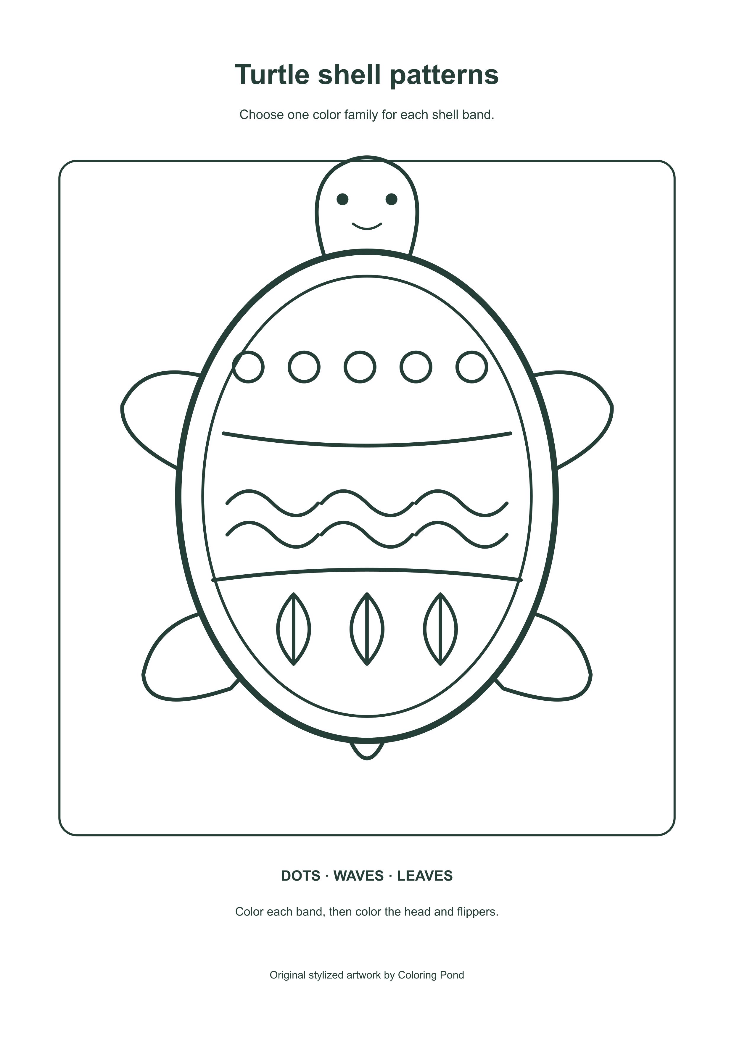 Original turtle line art with three shell pattern bands